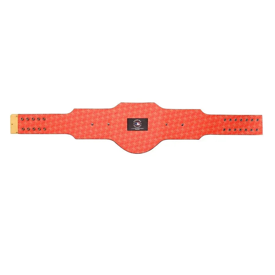 San Francisco Giants MLB Championship Belt