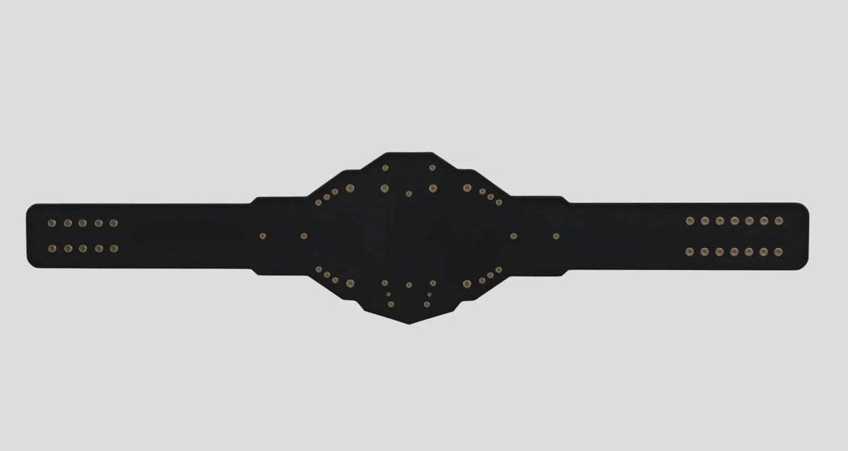 WWE NXT Heavyweight Championship Title Belt