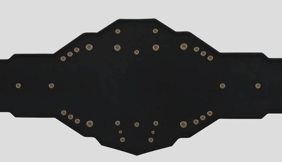 WWE NXT Heavyweight Championship Title Belt