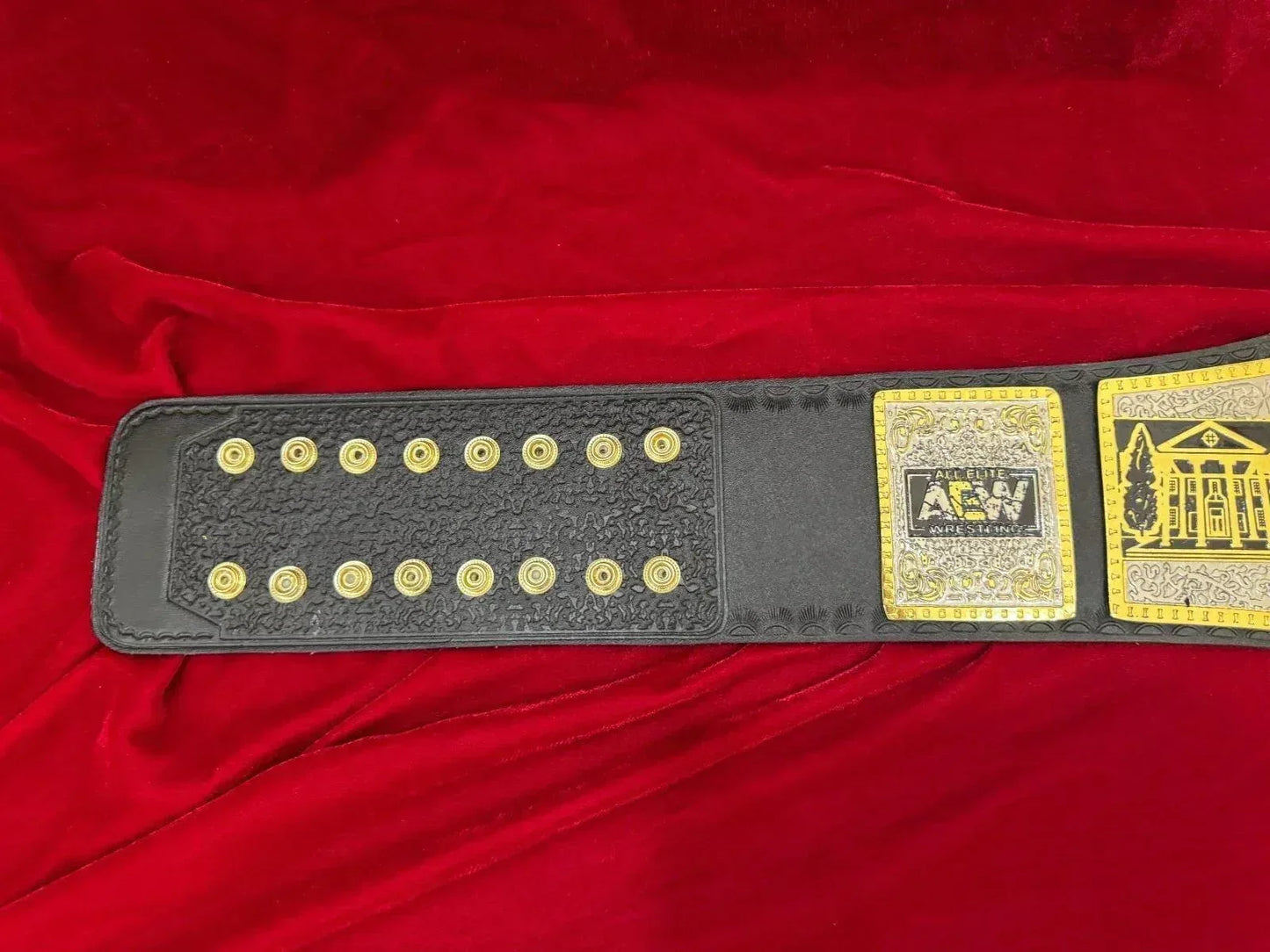 AEW TBS Women’s Championship Belt