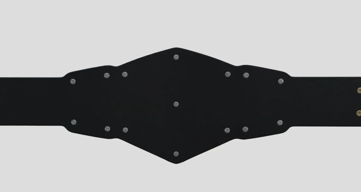 NXT Tag Team Championship Replica Title Belt