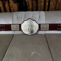 Big Gold World Heavyweight Championship Replica Belt Brown strap