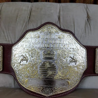 Big Gold World Heavyweight Championship Replica Belt Brown strap