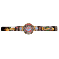CM Punk Limited Edition ECW Heavyweight Championship Signature Series Replica Title Belt