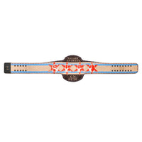 CM Punk Limited Edition ECW Heavyweight Championship Signature Series Replica Title Belt