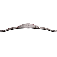 CM Punk Limited Edition World Heavyweight Championship Signature Series Replica Title Belt