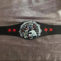 WWE CM Punk Spinner WWE Championship Belt
