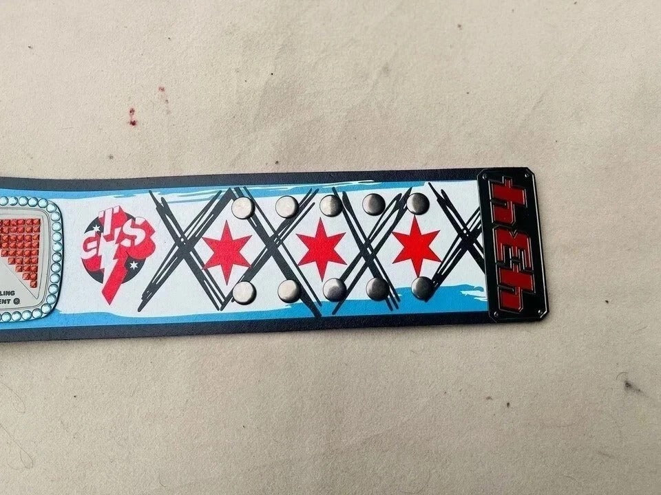 WWE CM Punk Spinner WWE Championship Belt