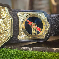 WWE CM Punk World Heavyweight Championship Replica Belt