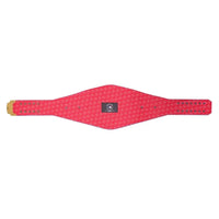 Chicago Cubs MLB Championship Belt