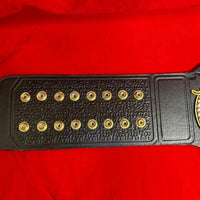 IWGP Heavyweight Championship Replica Wrestling Belt