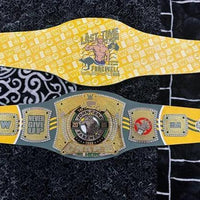 WWE John Cena Farewell Tour 2025 Perth Spinner Championship Replica Belt