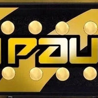 Logan Paul “The Maverick” United States Championship Title Belt Replica
