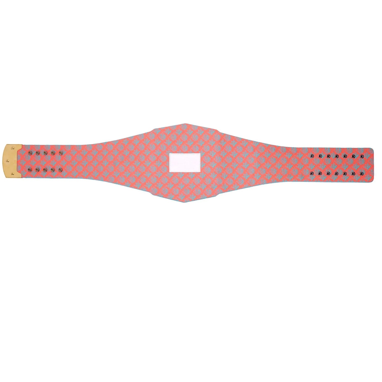 Miami Dolphins WWE Legacy Championship Replica Belt - ELITESTRAPES LIMITED