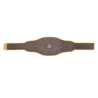 Pittsburgh Pirates MLB Championship Belt