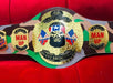 ROH Jay Briscoe World Heavyweight Championship Replica Wrestling Belt