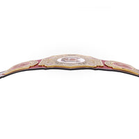 South Carolina Gamecocks WWE Legacy Championship Title Belt