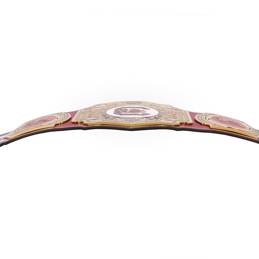 South Carolina Gamecocks WWE Legacy Championship Title Belt