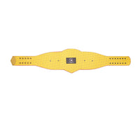 St. Louis Cardinals WWE Legacy Championship Belt