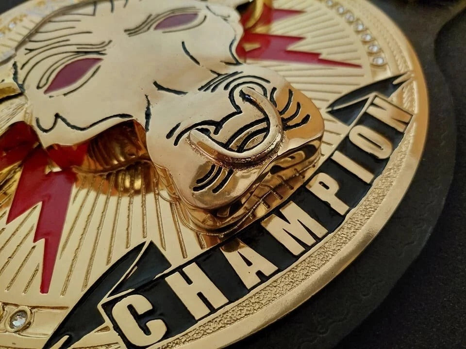 The Rock Brahma Bull Championship Replica Belt