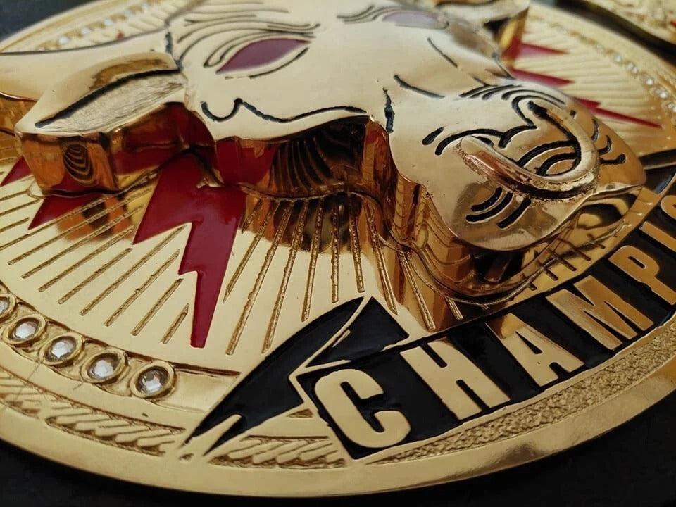 The Rock Brahma Bull Championship Replica Belt