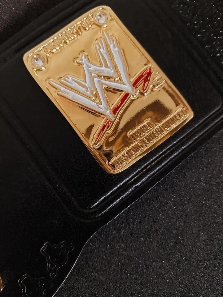 The Rock Brahma Bull Championship Replica Belt