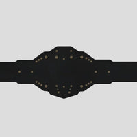 WWE NXT Heavyweight Championship Title Belt