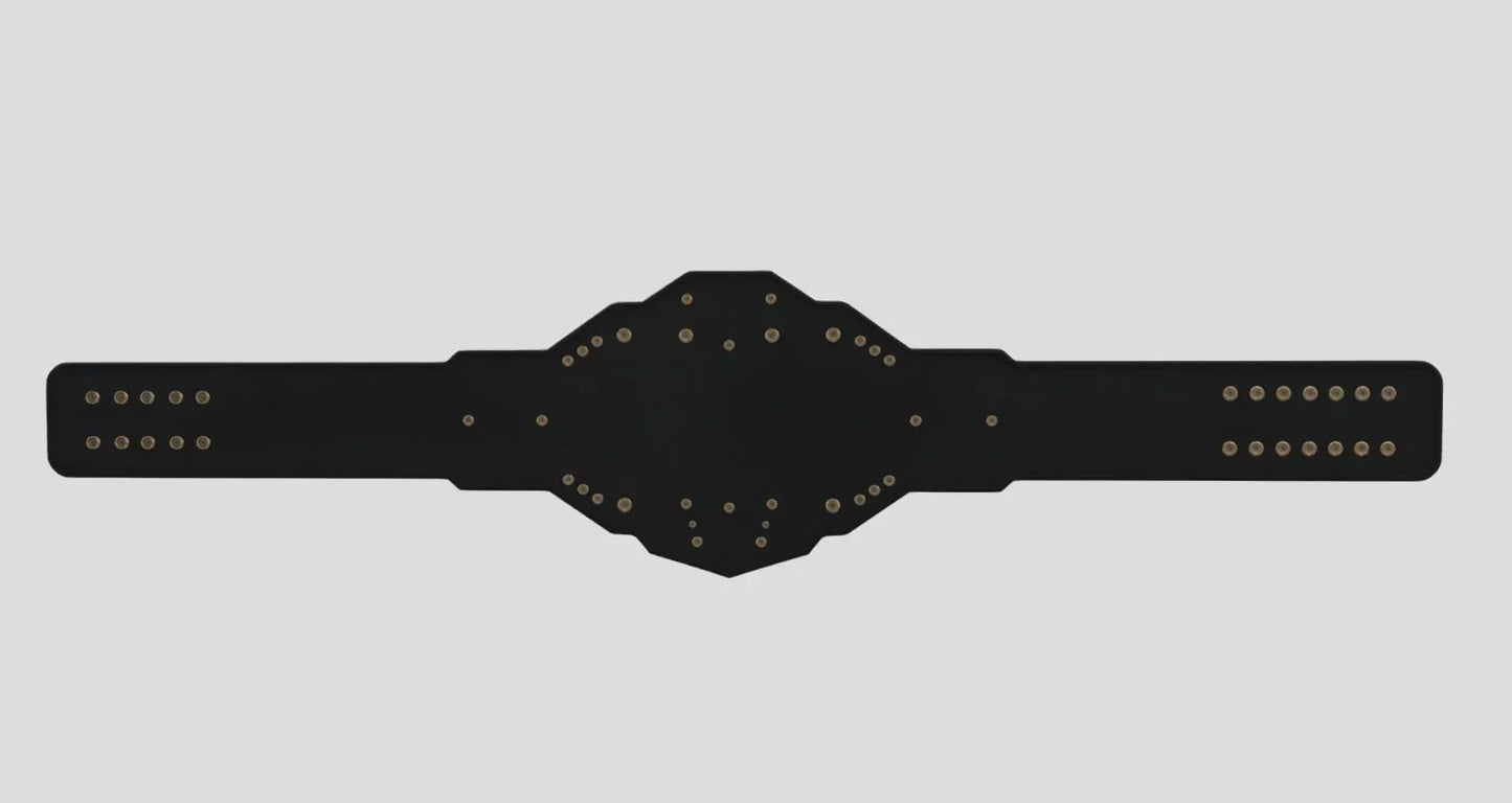WWE NXT Heavyweight Championship Title Belt