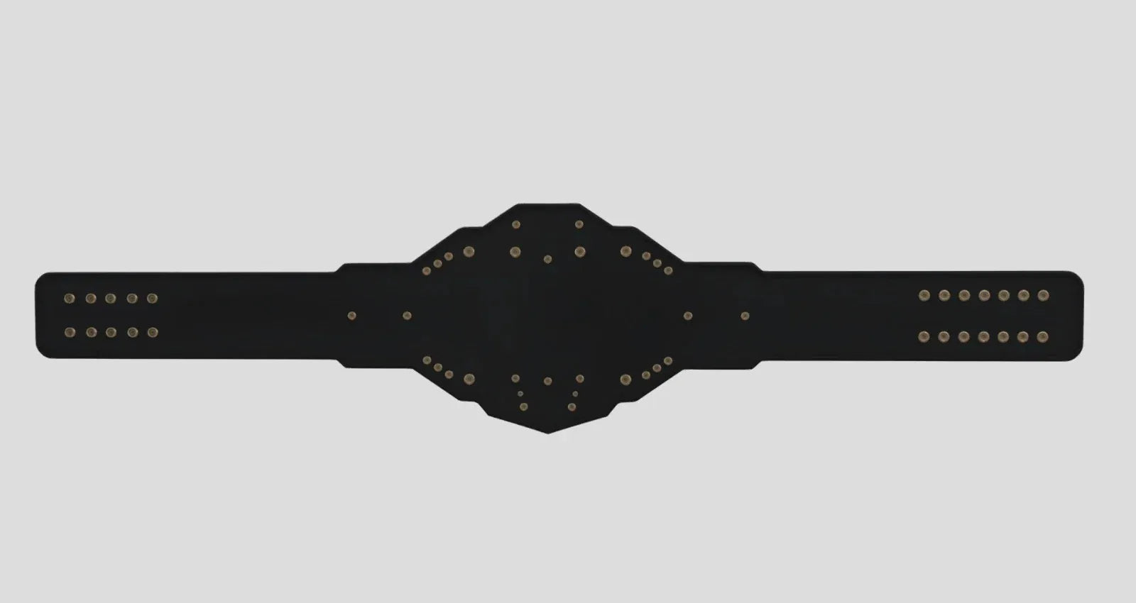 WWE NXT Heavyweight Championship Title Belt