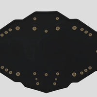 WWE NXT Heavyweight Championship Title Belt