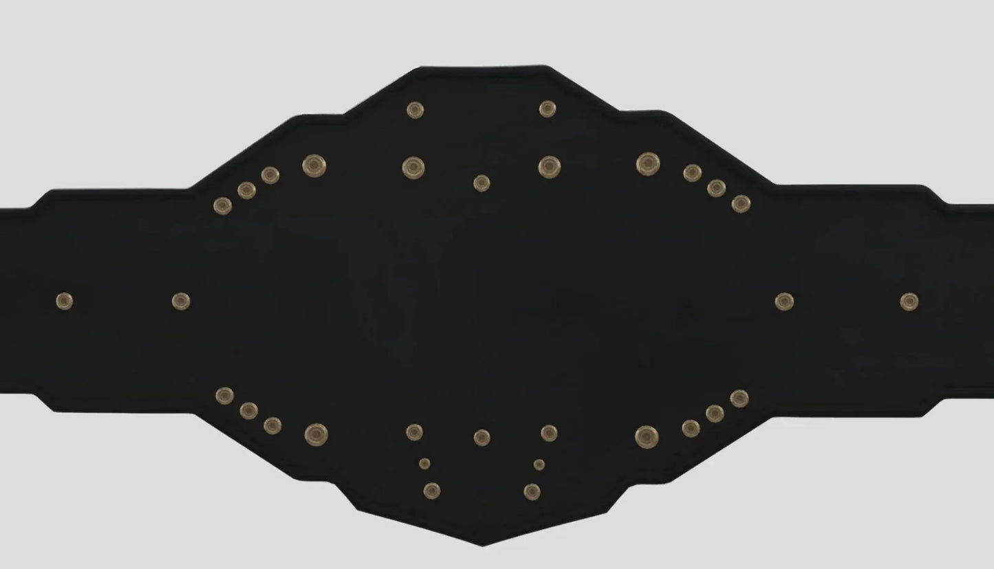 WWE NXT Heavyweight Championship Title Belt