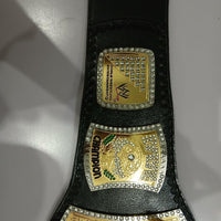 WWE Spinner World Heavyweight Championship Belt | John Cena