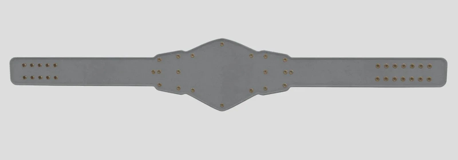 WWE Women’s NXT Tag Team Championship Belt