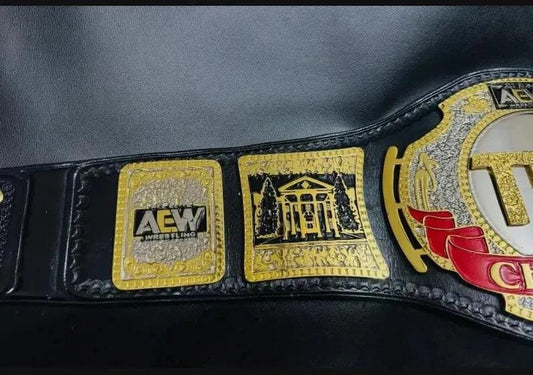 AEW TNT Championship Replica Belt | 2mm 4mm Brass Plates | Gold Black Wrestling Title | Adult Size Gift | Pro Wrestling Belt Fan Collectible