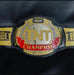 AEW TNT Championship Replica Belt