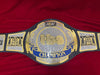 AEW TBS Women’s Championship Belt
