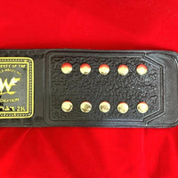 WWE Oval Intercontinental Championship Replica Belt