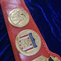 NWA USA Tag Team Championship Replica Belt