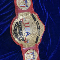 NWA USA Tag Team Championship Replica Belt
