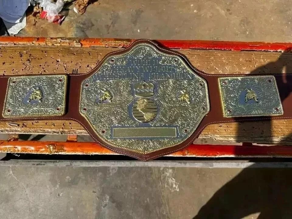 Big Gold World Heavyweight Championship Replica Belt