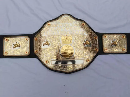 WWE Fandu Big Gold Wrestling Championship Replica Belt