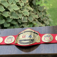 NWA USA Tag Team Championship Replica Belt