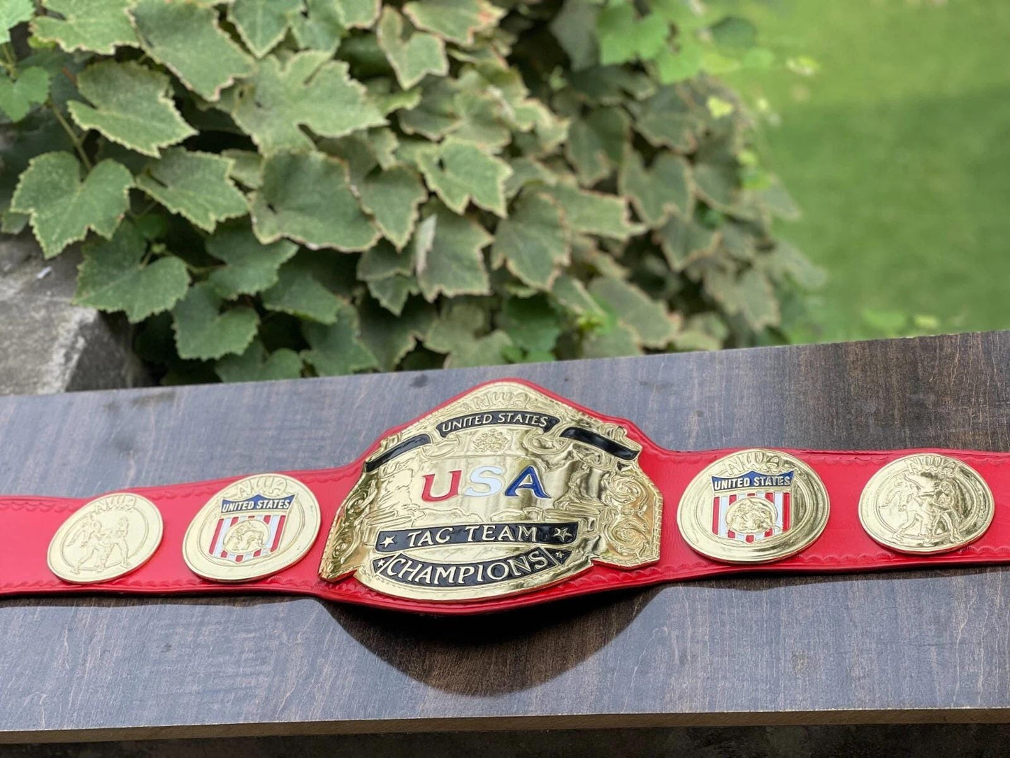NWA USA Tag Team Championship Replica Belt