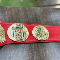 NWA USA Tag Team Championship Replica Belt