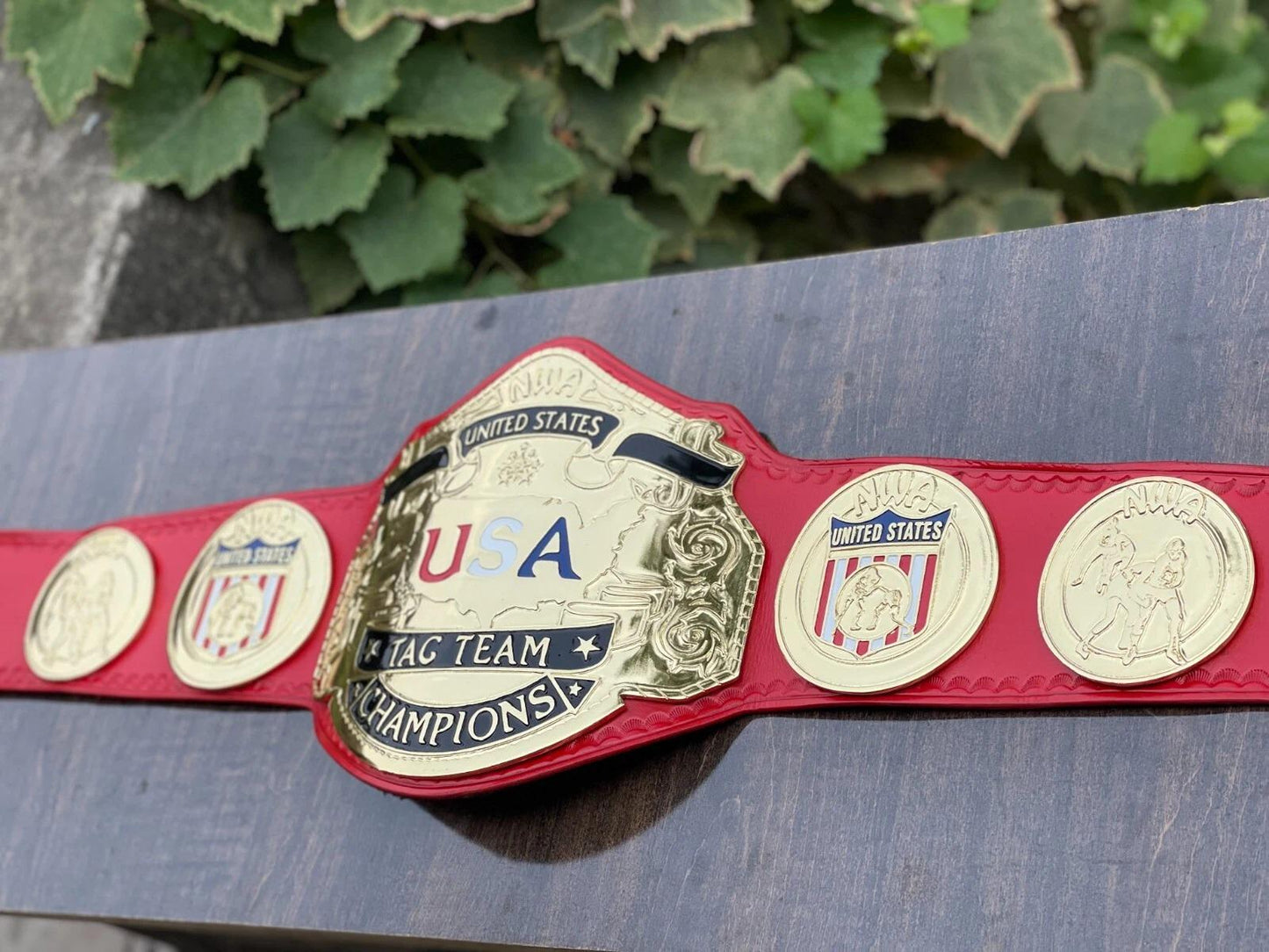 NWA USA Tag Team Championship Replica Belt