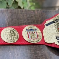 NWA USA Tag Team Championship Replica Belt