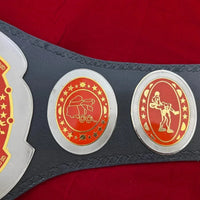 Southern Heavyweight Championship Wrestling Replica Belt NWA