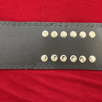 Southern Heavyweight Championship Wrestling Replica Belt NWA
