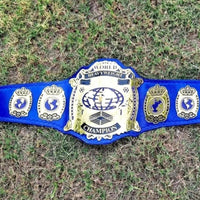 World Heavyweight Wrestling Championship Replica Belt