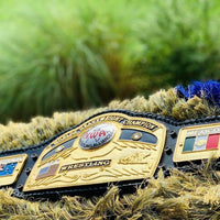 NWA Domed Globe World Heavyweight Wrestling Championship Replica Belt